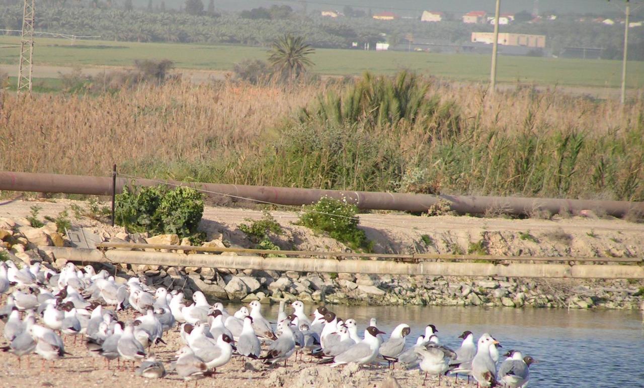 Jordan Valley Birding Lodge Kefar Ruppin Eksteriør billede