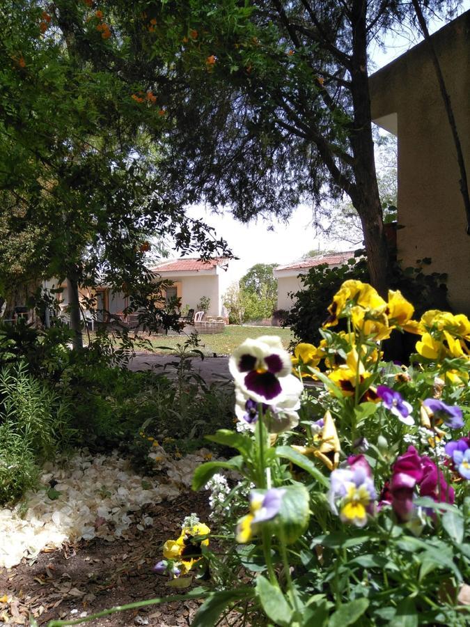 Jordan Valley Birding Lodge Kefar Ruppin Eksteriør billede